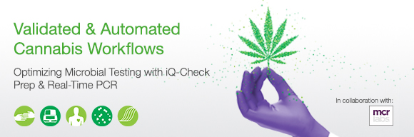 Validated & Automated Cannabis Workflows. Optimizing microbial testing with iQ-Check Prep & Real-Time PCR